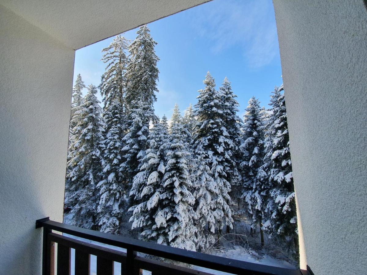 Pinewood Ang Luxurious Apartment A43, Borovets Gardens ภายนอก รูปภาพ