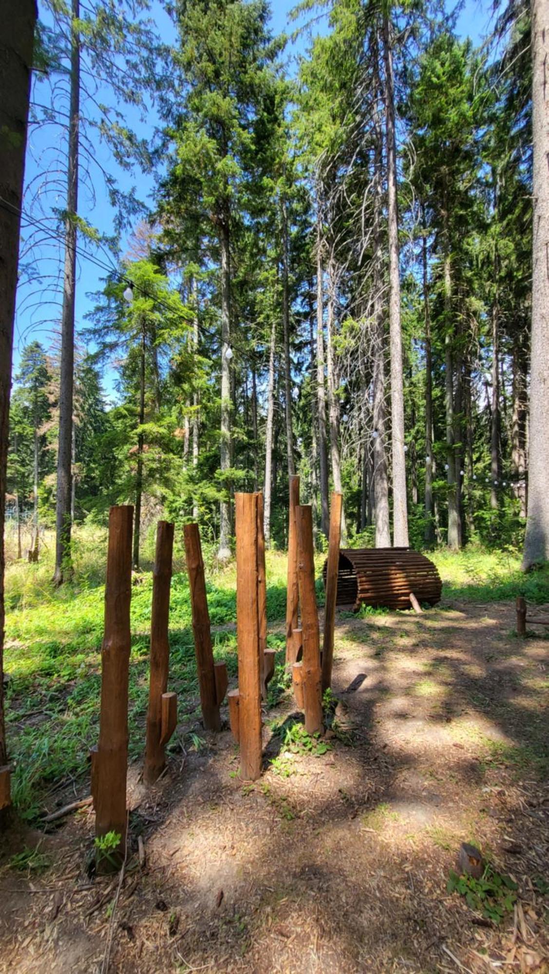 Pinewood Ang Luxurious Apartment A43, Borovets Gardens ภายนอก รูปภาพ